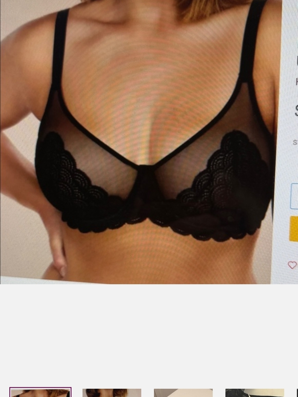 Sheer Lace Underwire Bra — Black